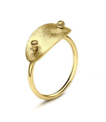 Gold Plated Silver Rings NSR-2813-GP